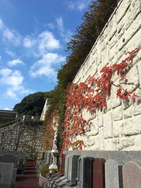 katorea_04