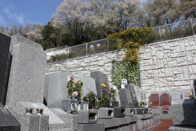 katorea_05