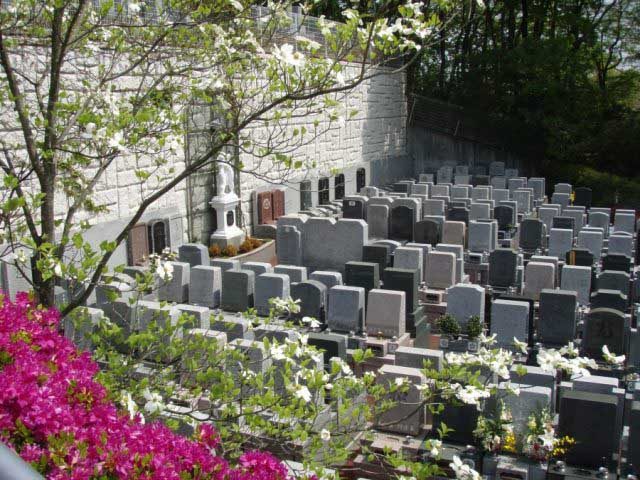 katorea_09
