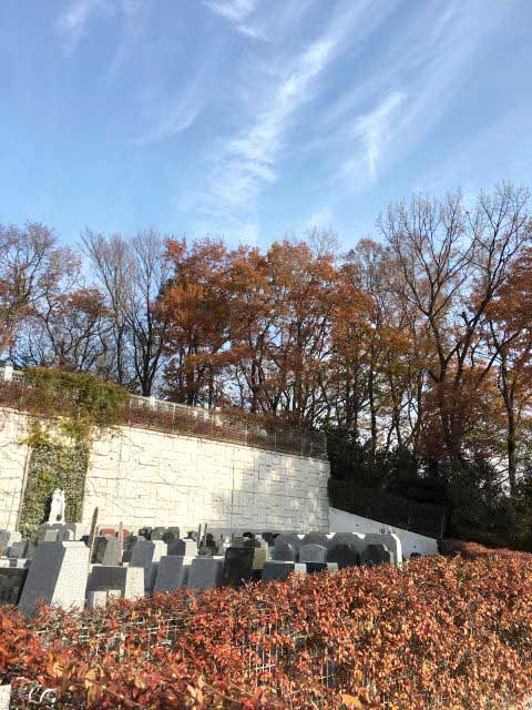 katorea_11