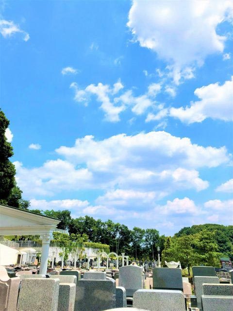 suzuran_07